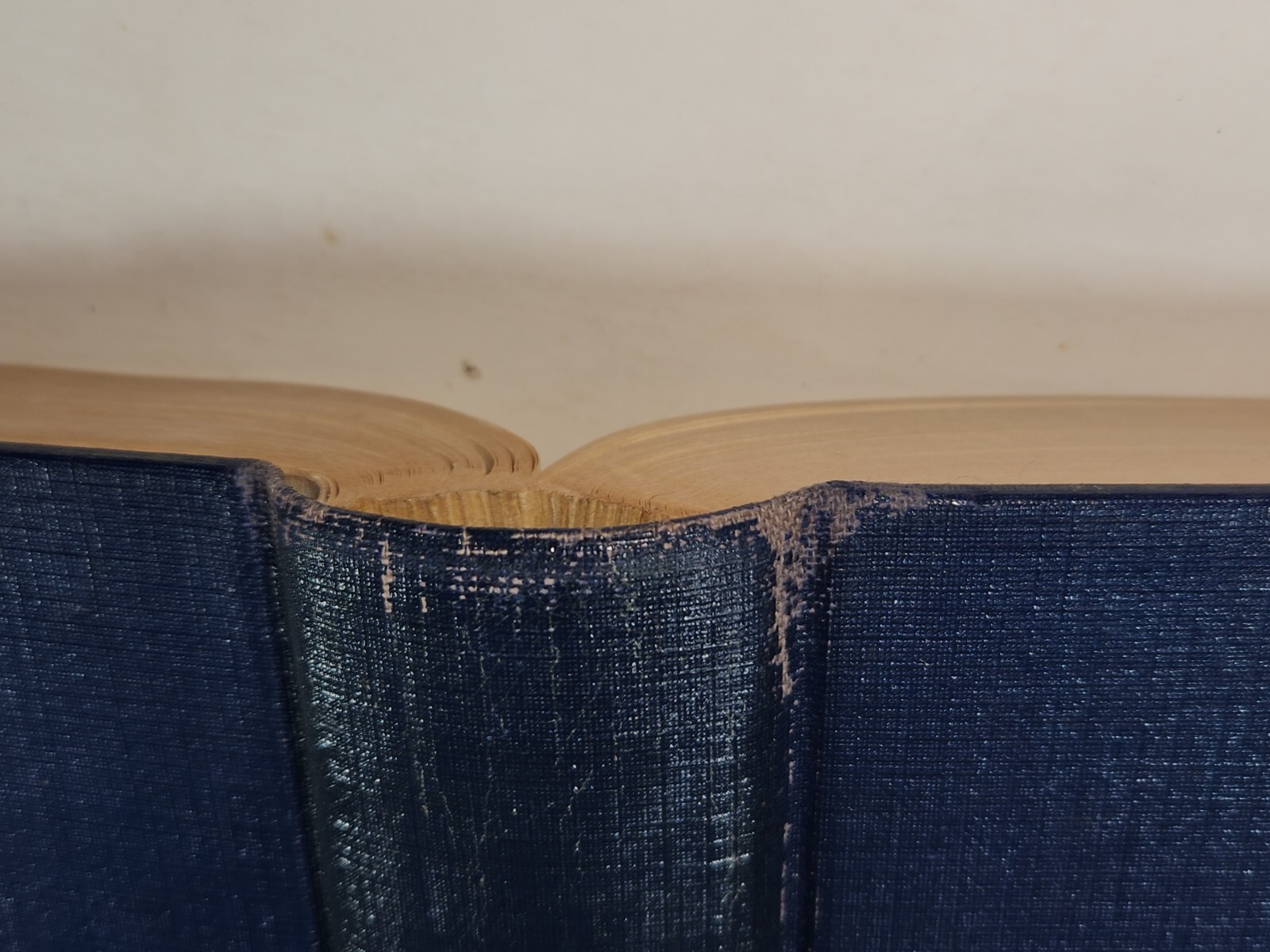 Life of Petrarch: Thomas Campbell. Carey and Hart, Pub. Hardcover 1841