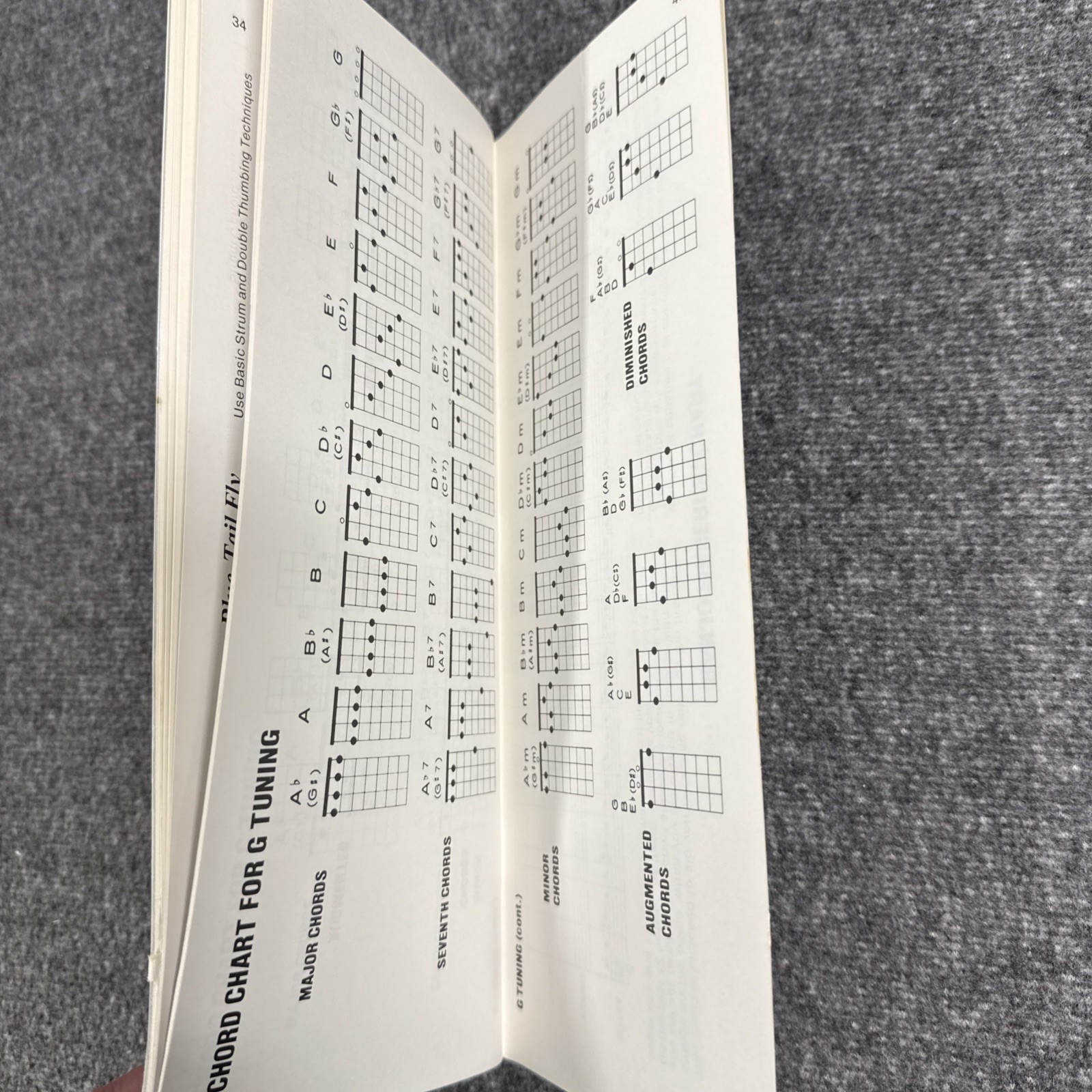 An Alfred Handy Guide How To Play The Banjo by Morton Manus Vintage 1980