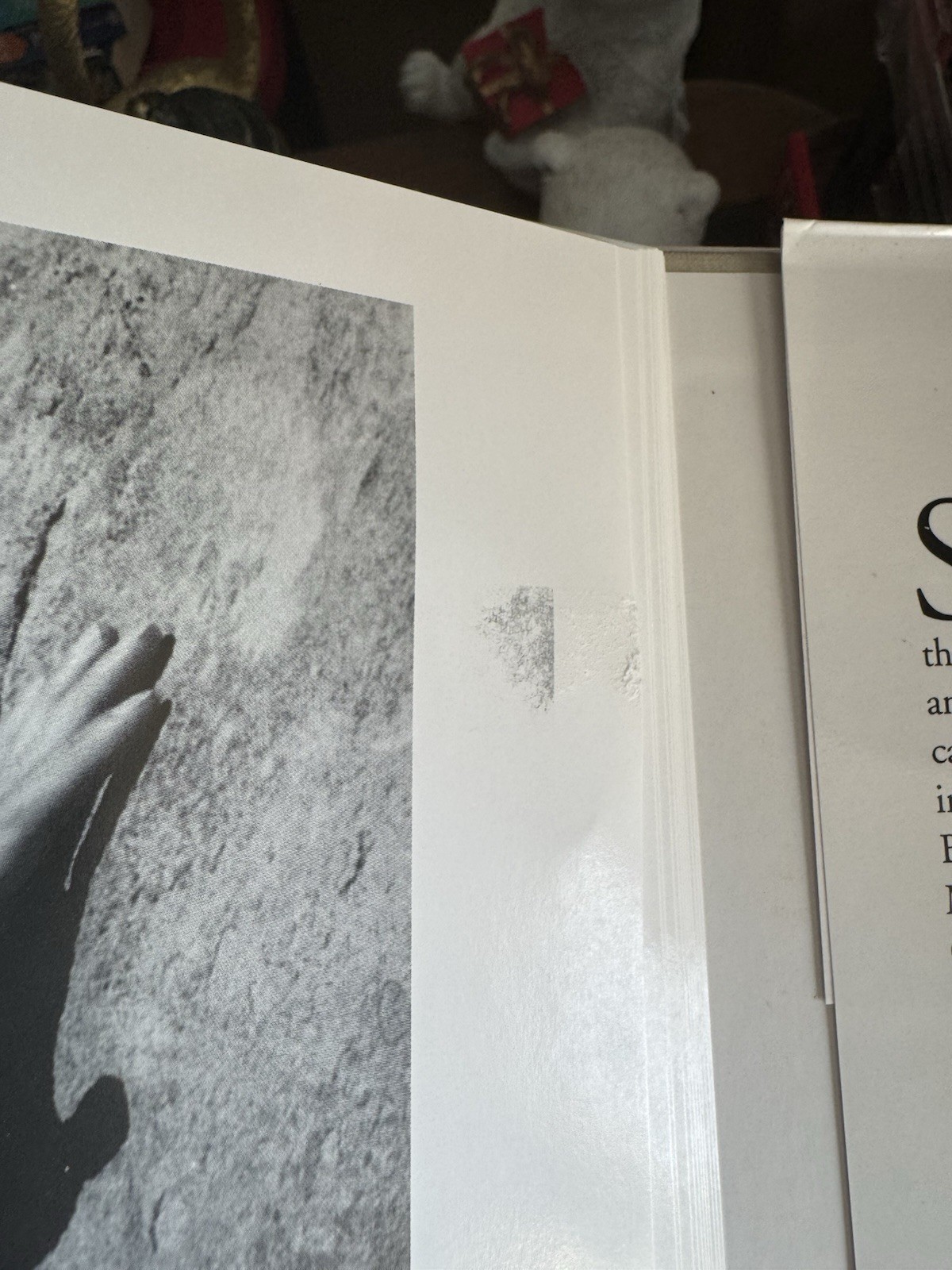 Man/Nature by Sherwin Carlquist (2002, Hardcover) Photo Book Gay Interest Nudity