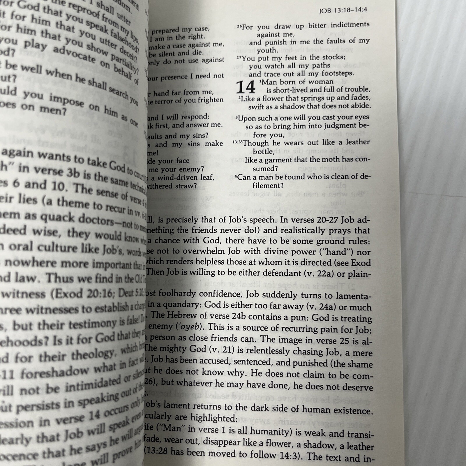 Collegeville Bible Commentary Old Testament Volume 19 Job Liturgical Press