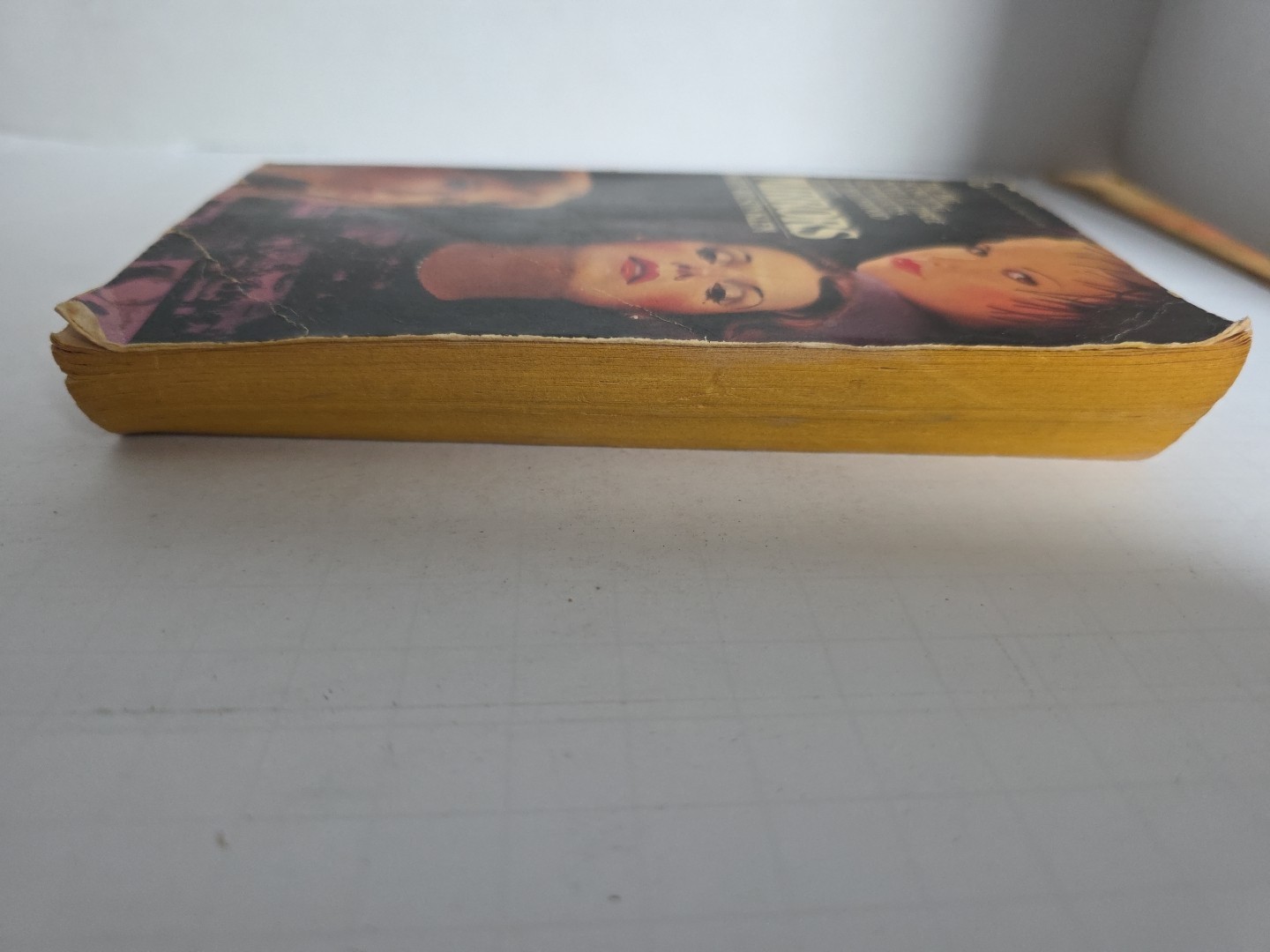 mirrors book by kaye wilson klem Signet Soft Cover