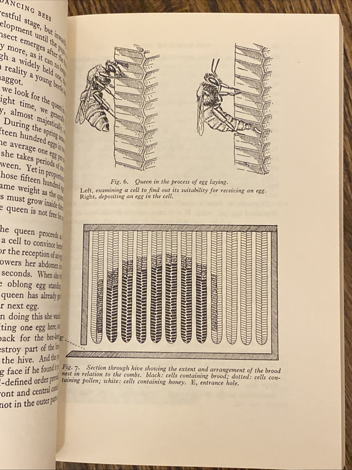 The Dancing Bees 1953 Karl von Frisch 1st Edition PB