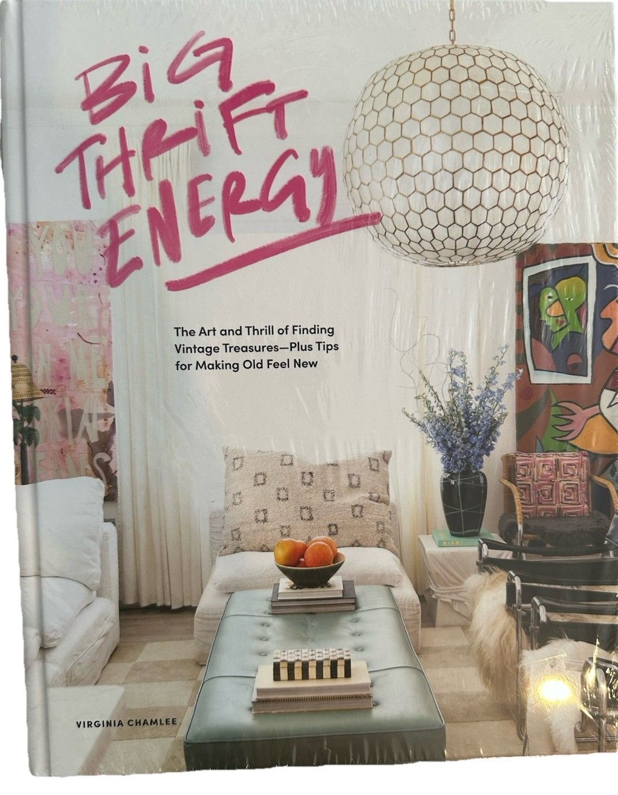 Big Thrift Energy Art & Thrill of Finding Vintage Treasures Tips HC New