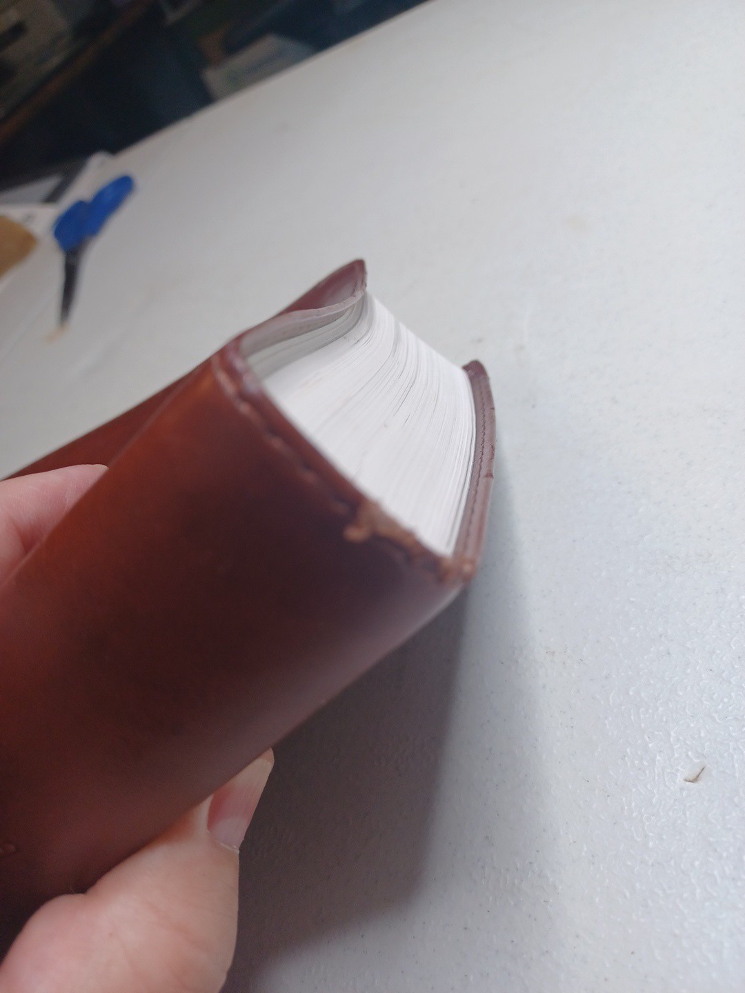 ESV Student Study Bible TruTone Chestnut 2011 Crossway