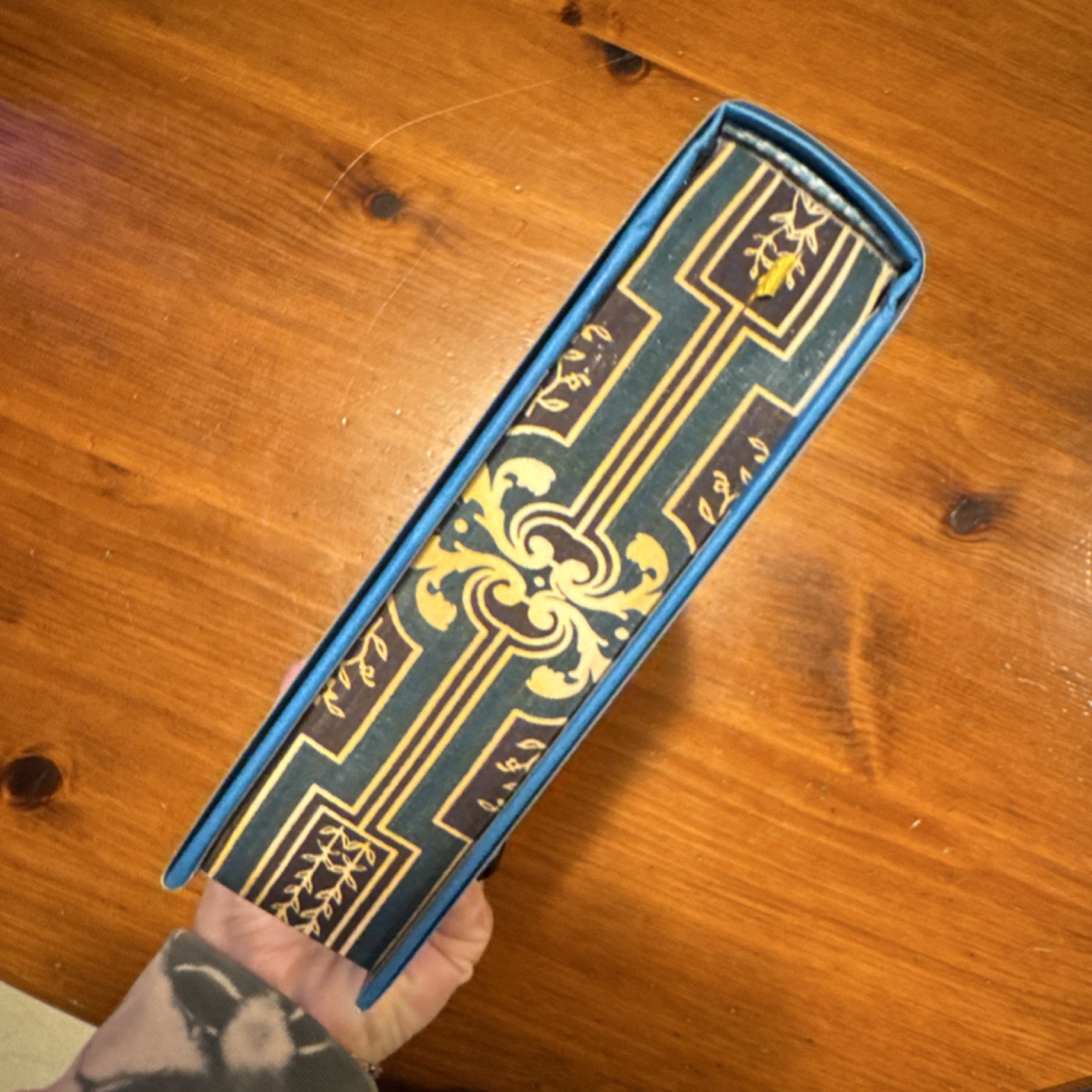 Forbidden Wing SPECIAL EDITION The Gifted by Katie Galvin Hardcover