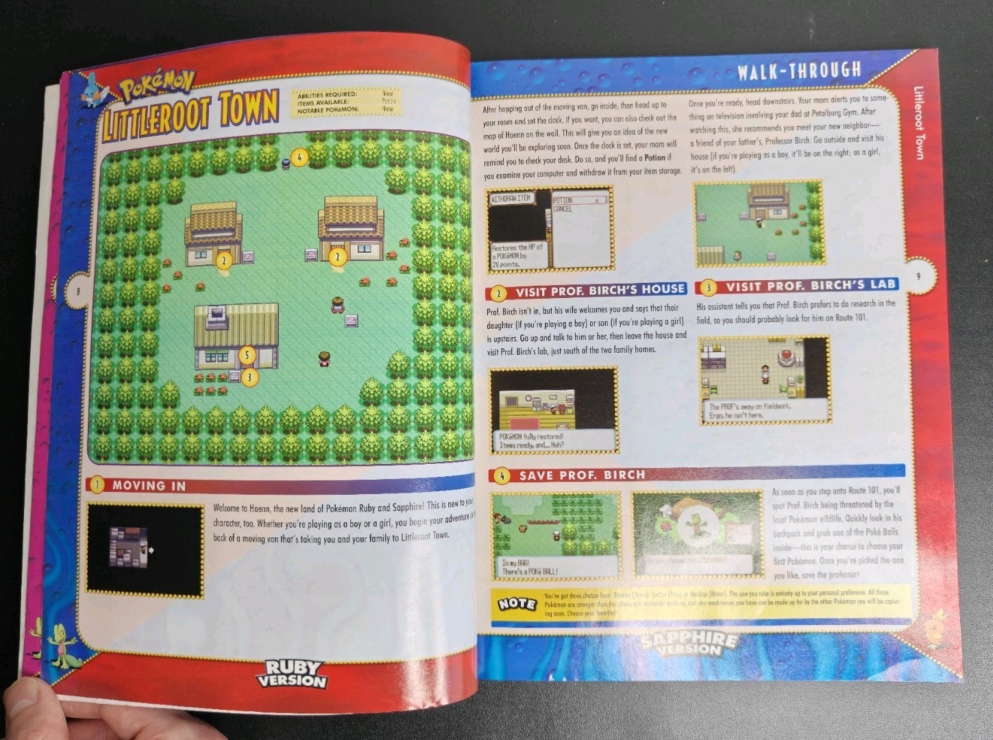 Pokemon Ruby and Sapphire Official Trainer’s Strategy Guide Brady Games GBA