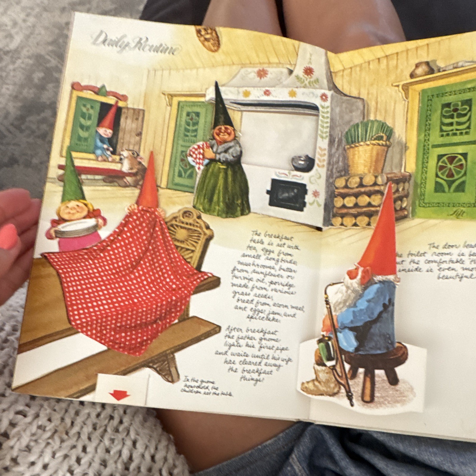 Harry N. Abrams The Pop-Up Book of Gnomes Pop-Up Illustrated Hardcover 1979