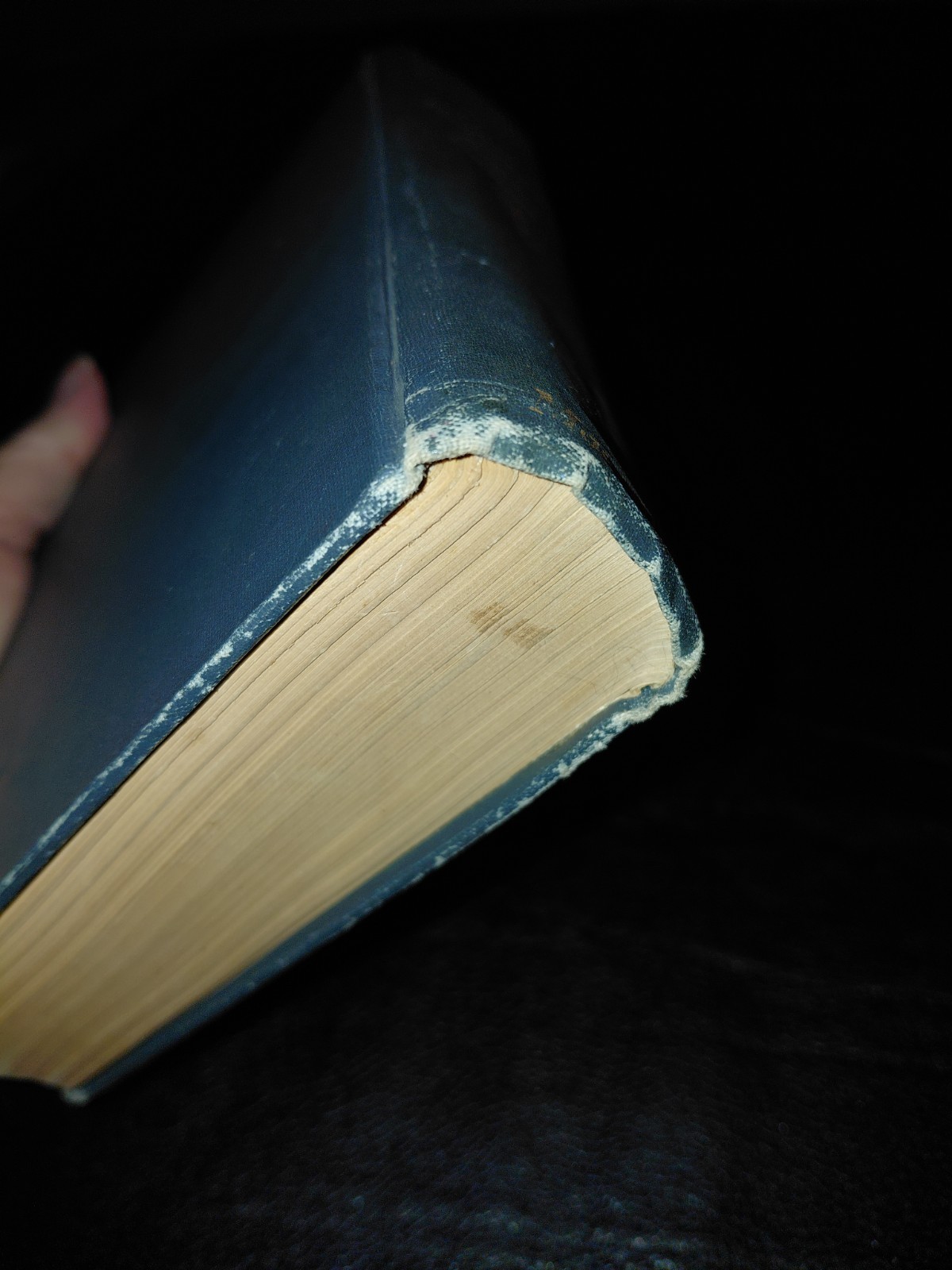 MANUAL OF HOME MAKING Van Rensselaer Rose-Canon 1919’s hard cover book Antique