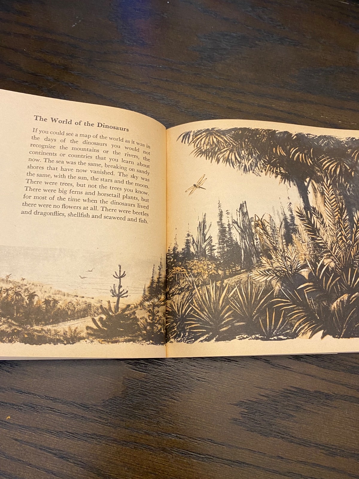 1975 Digging for Dinosaurs PB First Edition