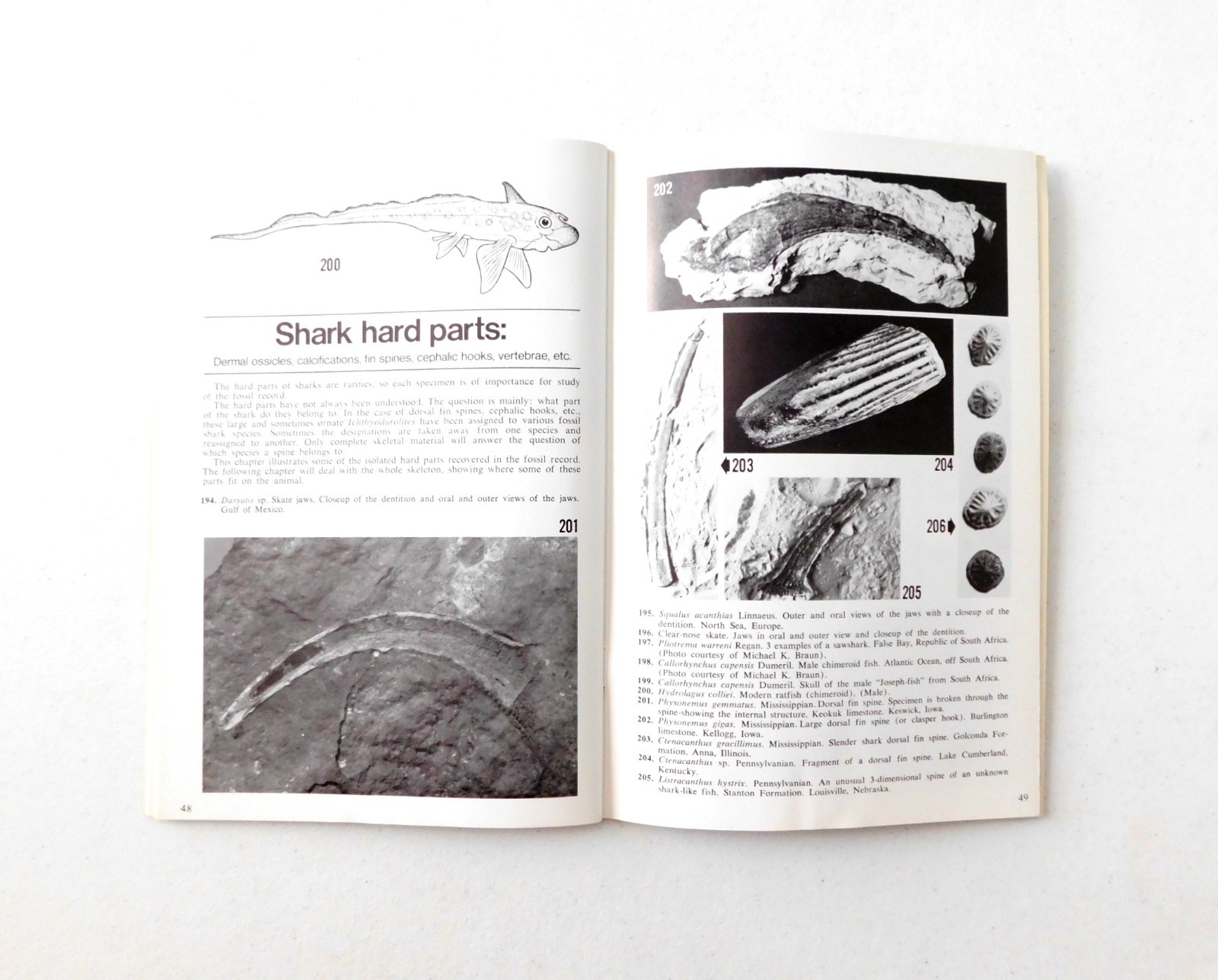 Fossil Sharks: a pictorial review by Gerard R. Case 1973 Signed 1st Printing