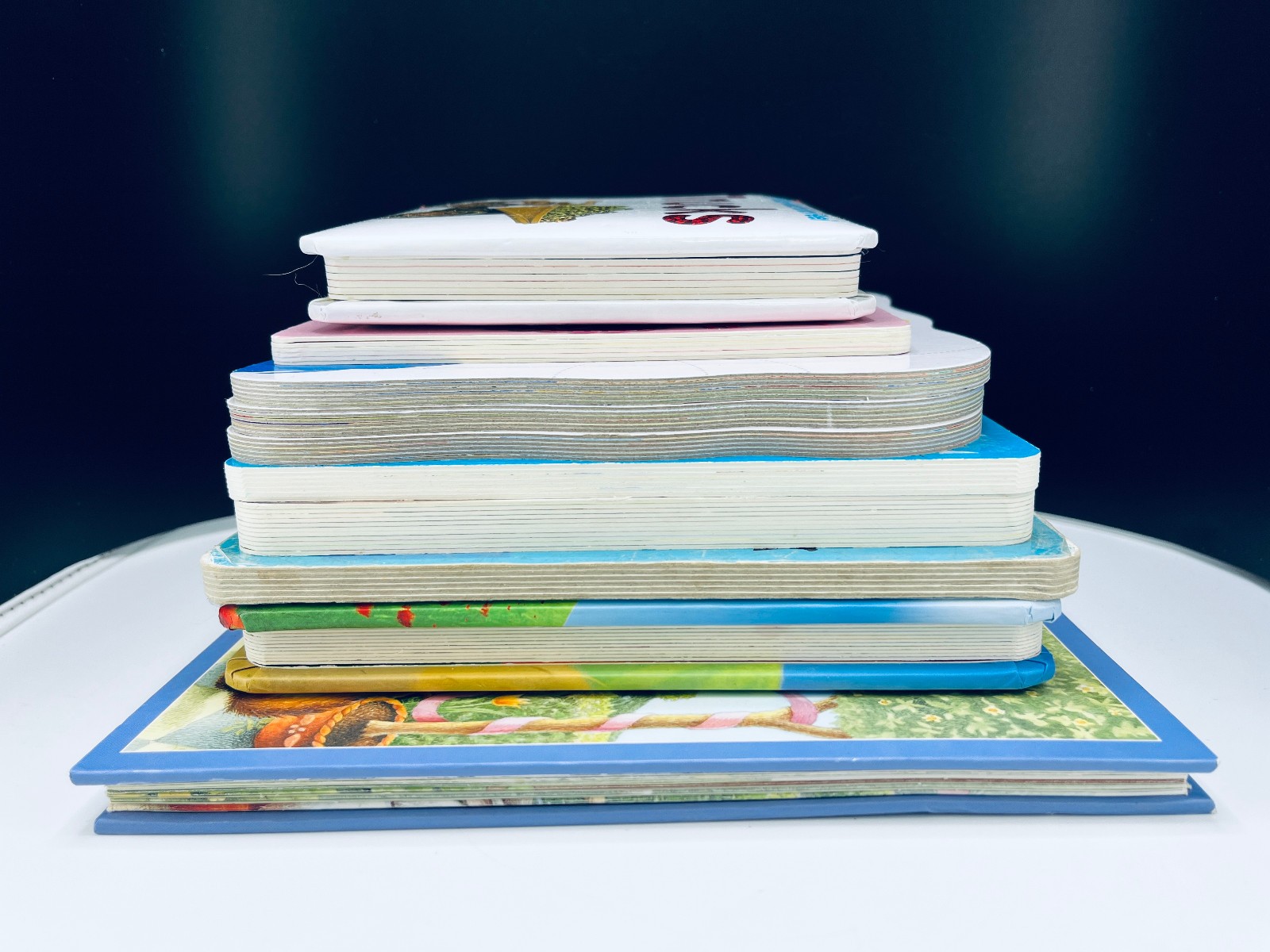 Lot of 10 Children’s Baby Toddler Board Picture Books Kids Daycare Family VIDEO