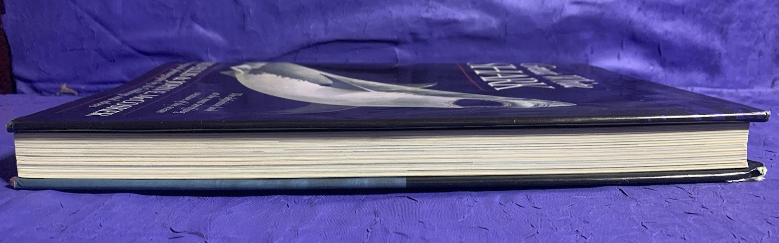 GREAT WHITE SHARK By Richard Ellis & John E. Mccosker – Hardcover w/ Dust Jacket