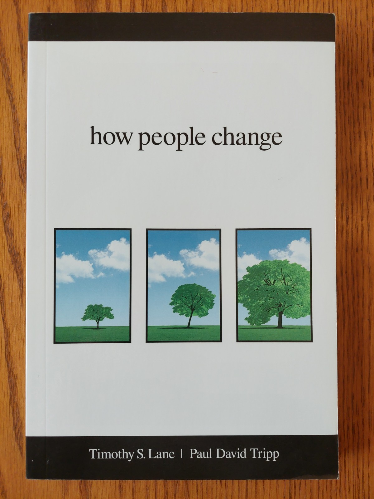 How People Change by Timothy S. Lane & Paul David Tripp, PB – VERY GOOD