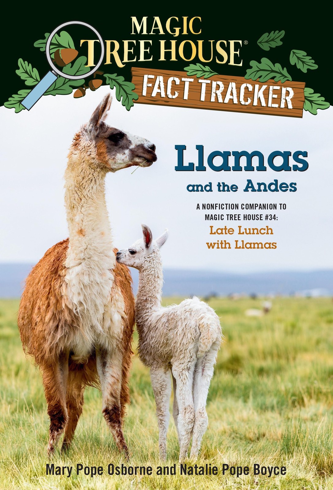 Llamas and the Andes: A nonfiction companion to Magic Tree House #34: Late L…