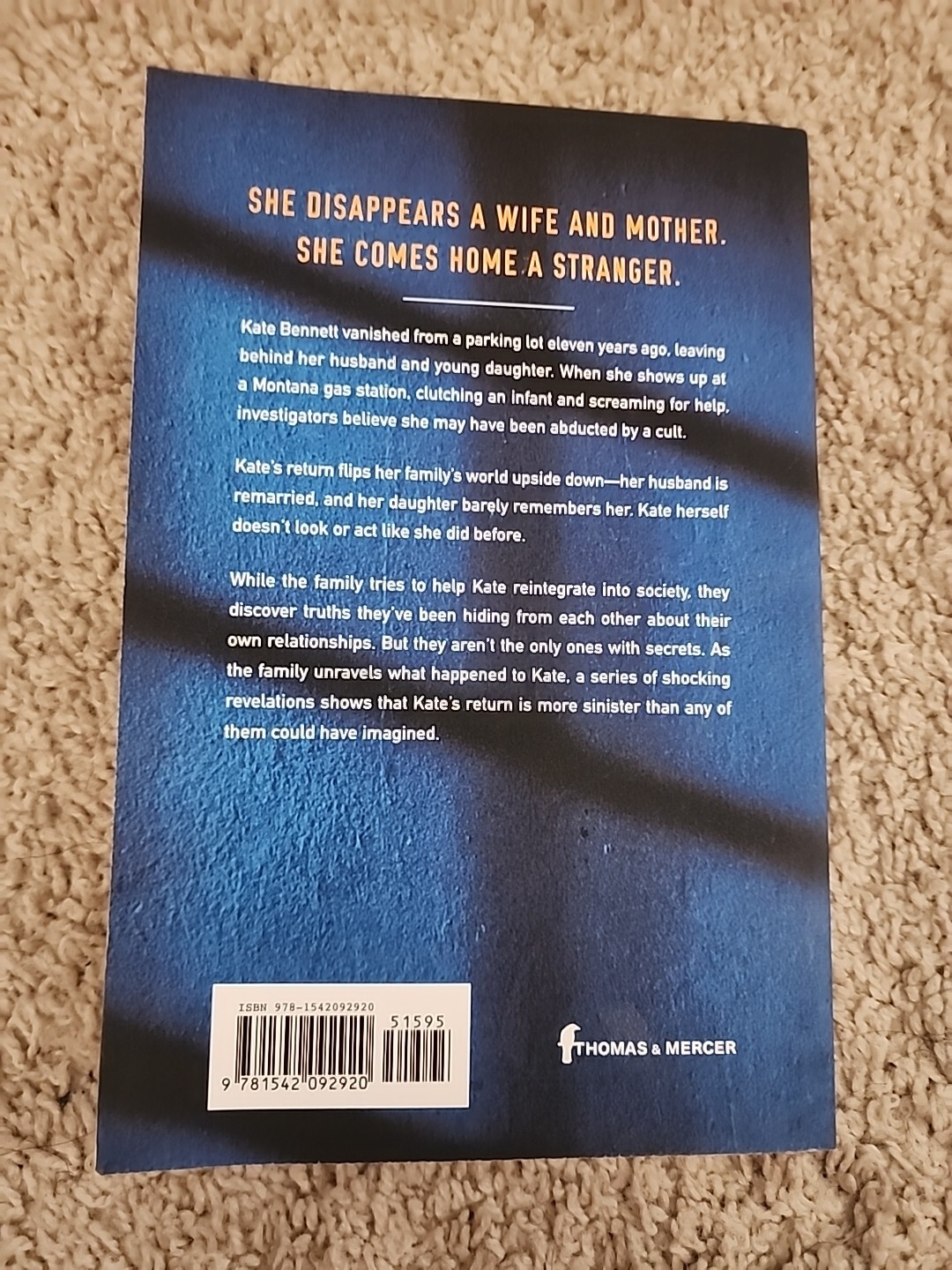 When She Returned by Lucinda Berry (2019, Trade Paperback)