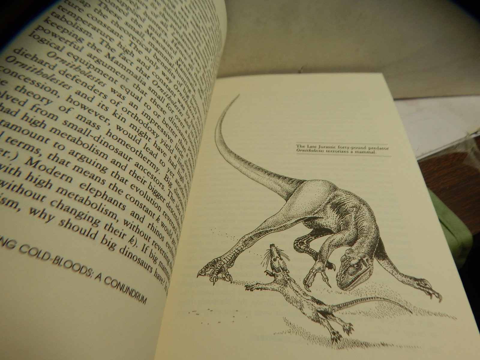 Bakker. The Dinosaur Heresies New Theories Unlocking Mystery of Dinosaurs Signed