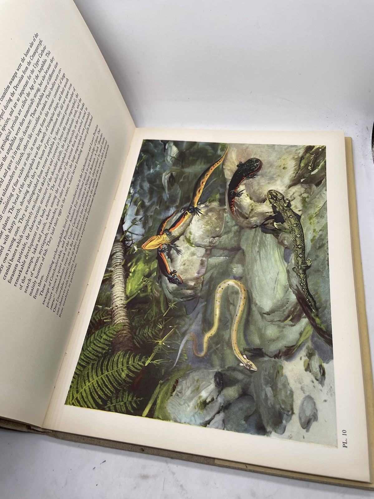 Prehistoric Animals J. Augusta-Z. Burian Vintage Dinosaur Book HC