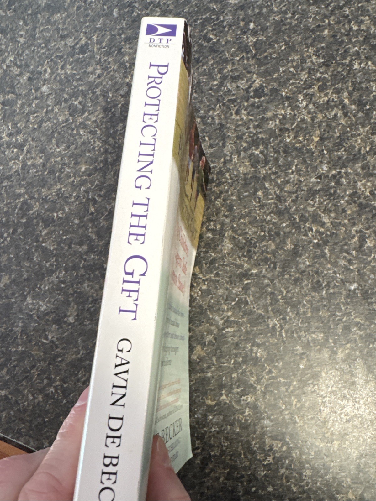 Protecting the Gift Gavin de Becker Paperback Parenting Safety Book Good Cond