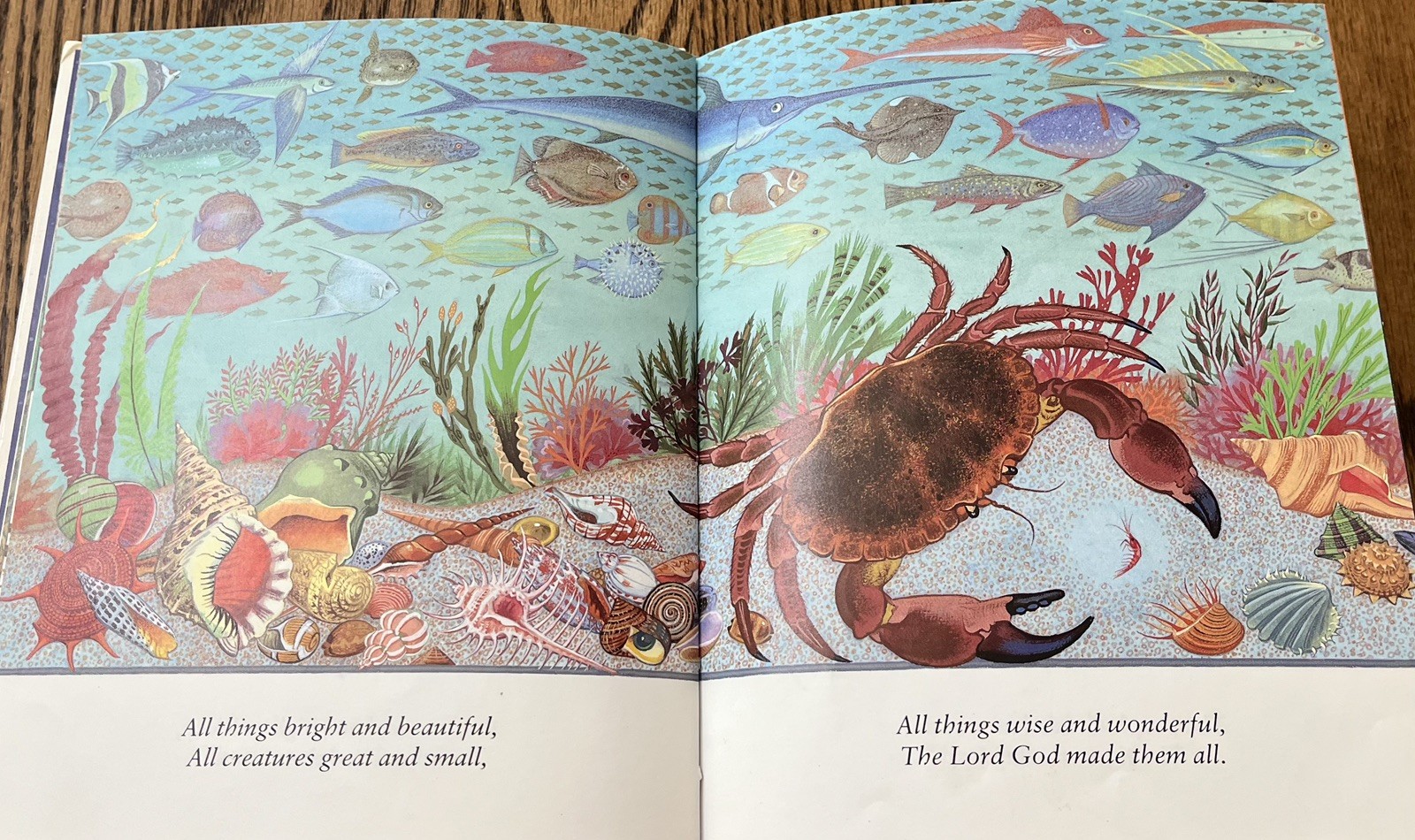 ALL THINGS BRIGHT AND BEAUTIFUL : illus Pauline Baynes : vintage