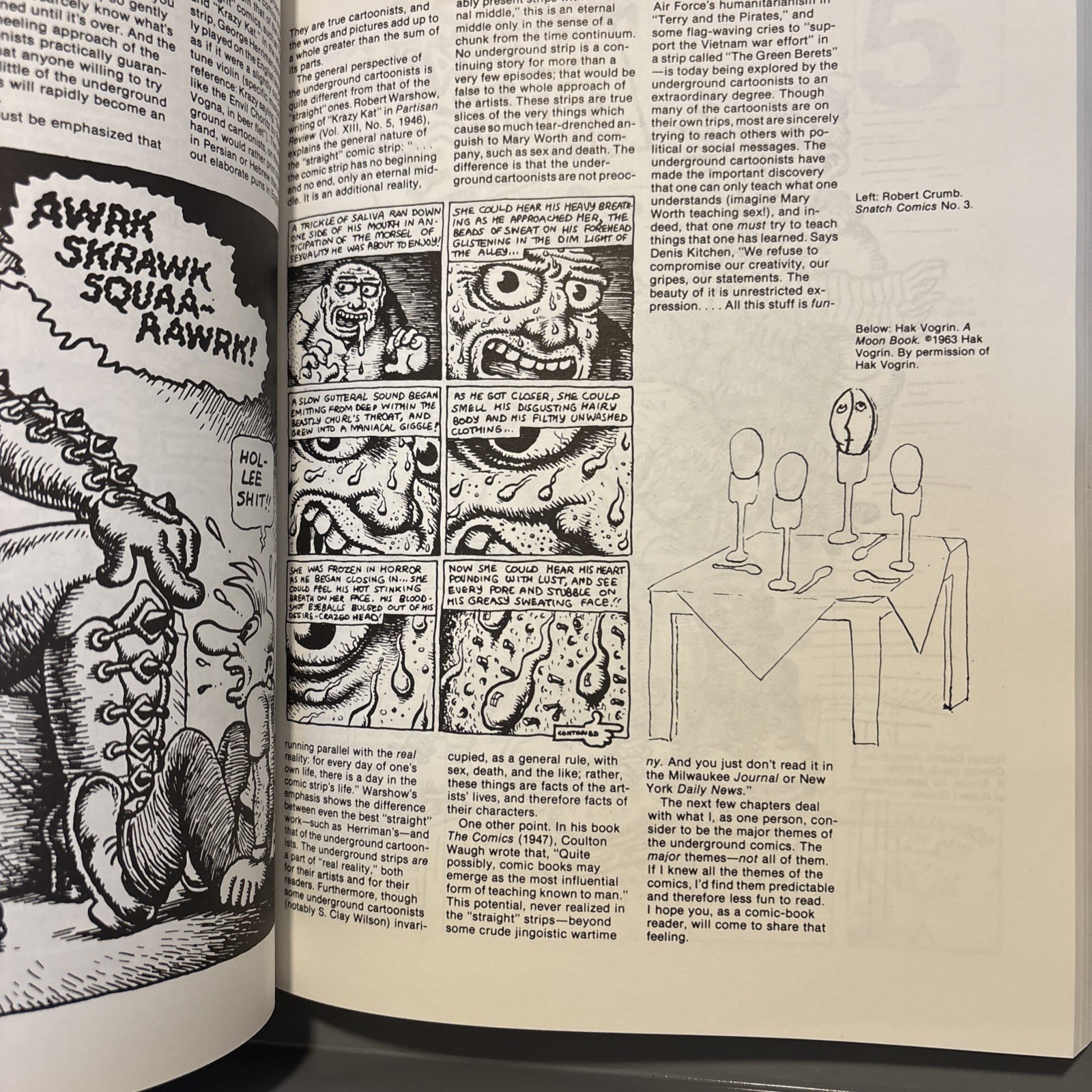 A History of Underground Comics by Mark James Estren 1993 Ronin Paperback Book