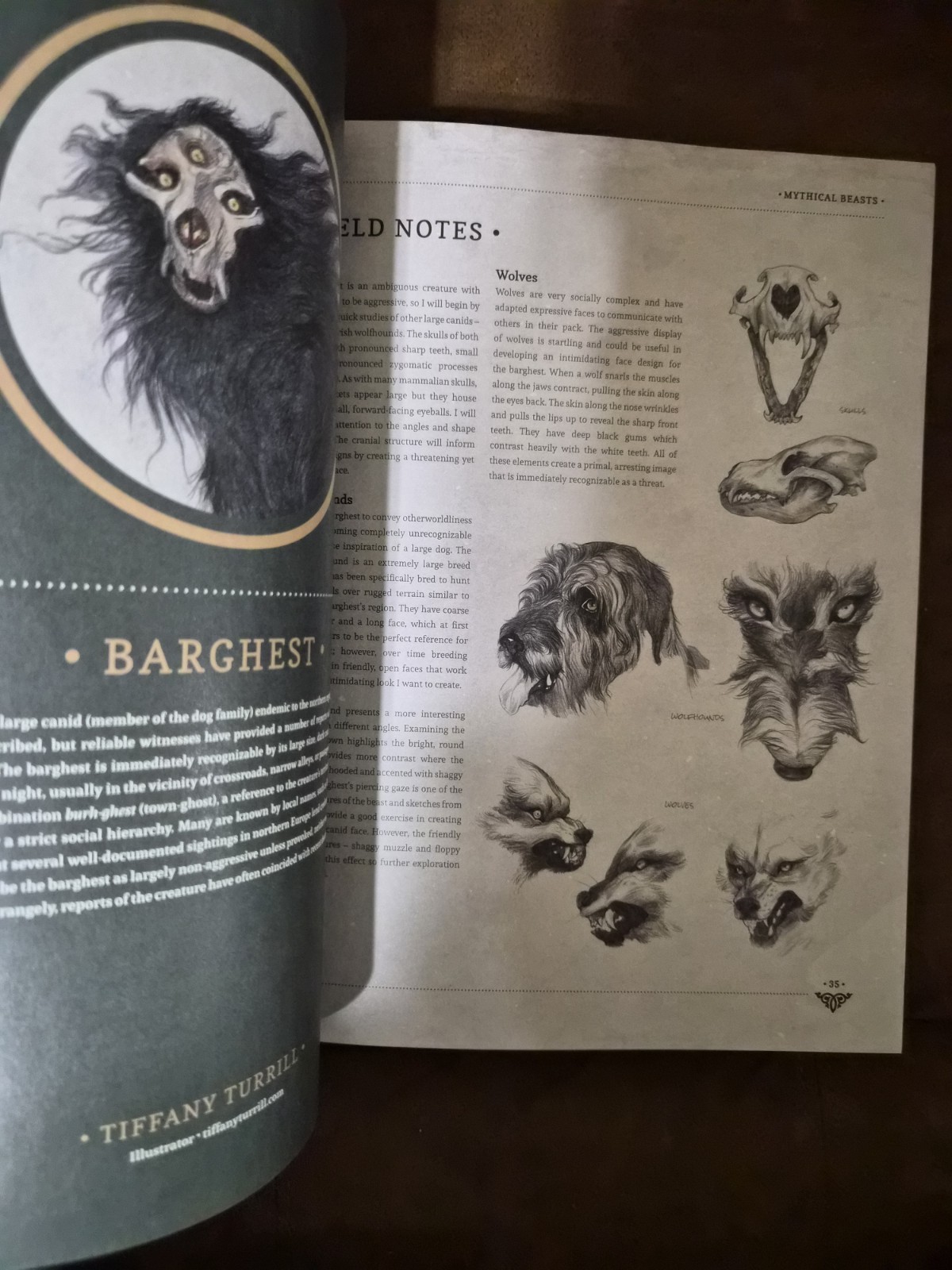Mythical Beasts: An Artist’s Field Guide to Designing Fantasy Creatures 3dtotal