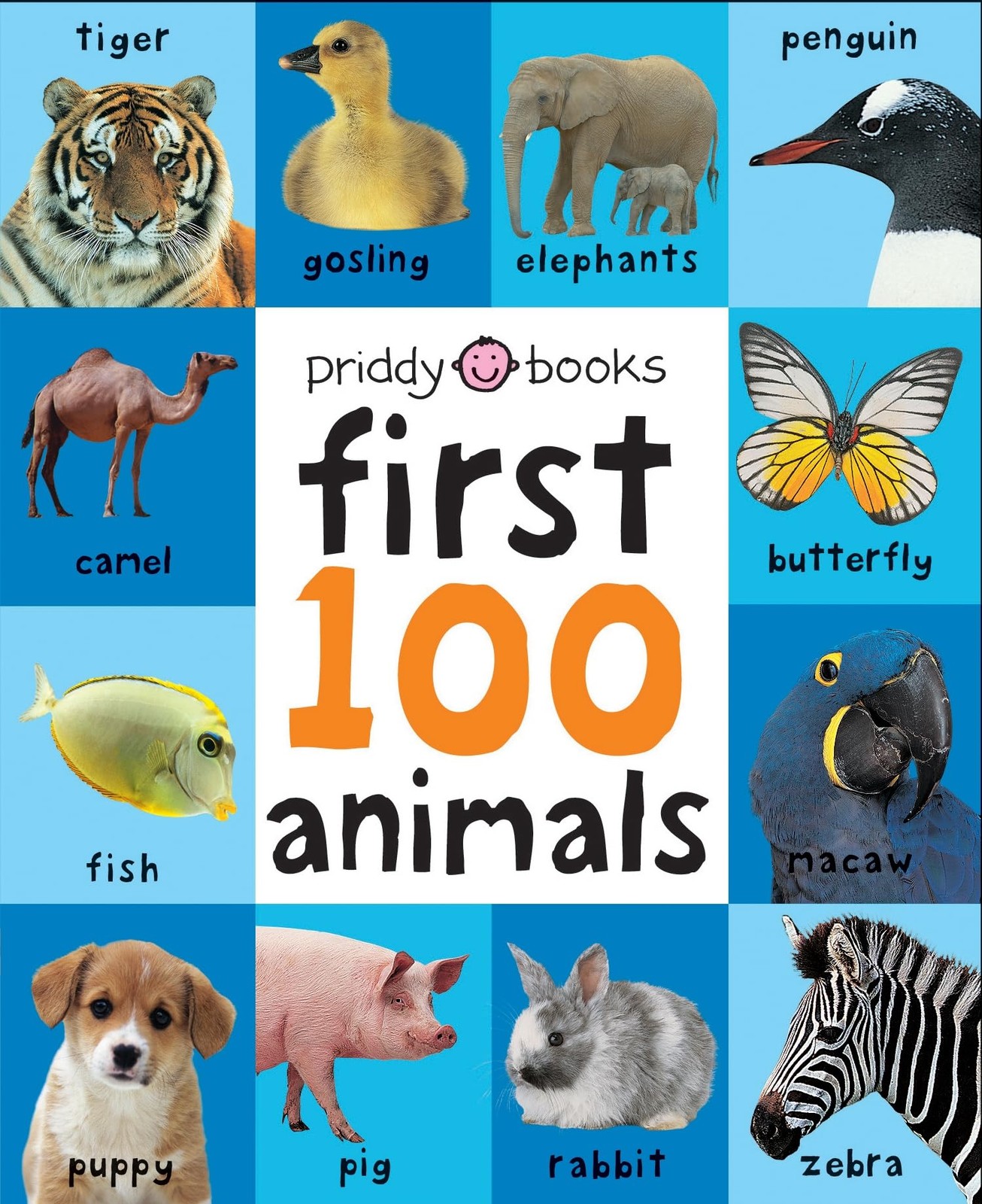 First 100 Animals (First 100 Soft to Touch Board Books) (Portadas Aleatorias…