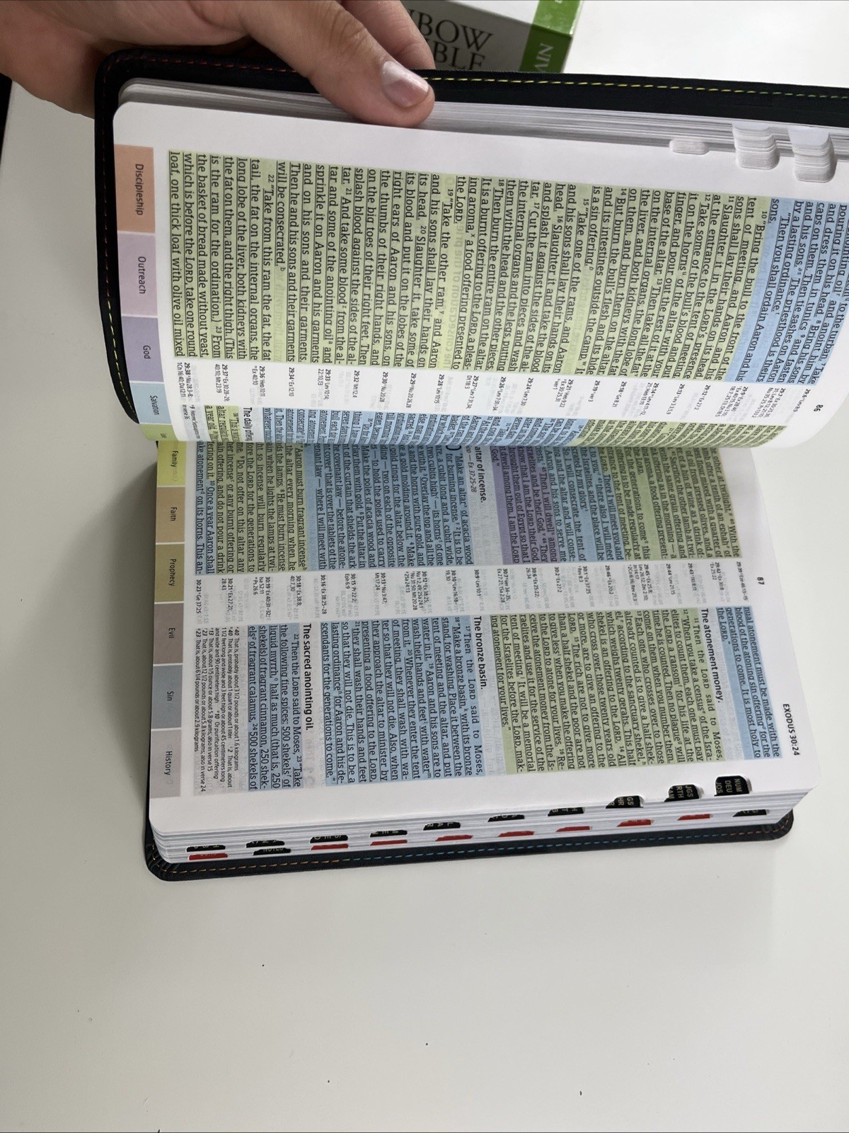 Holman Rainbow Study Bible NIV Edition: LeatherTouch Pierced Cross 2015