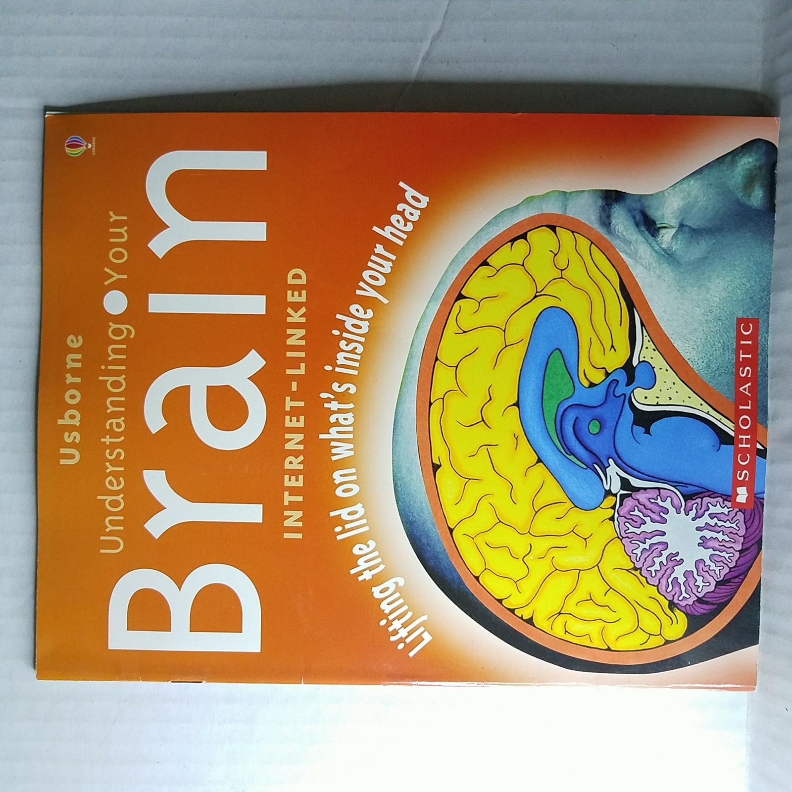 Understanding Your Brain Internet Linked by Rebecca Treays 439798043
