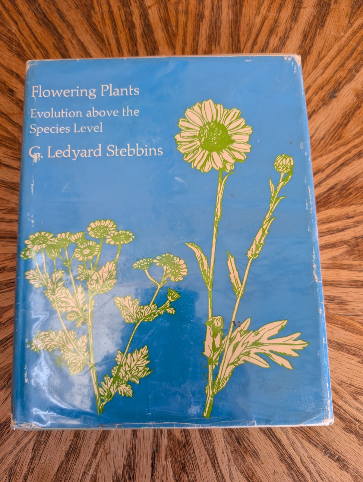 Flowering Plants: Evolution above the Species Level – Hardcover