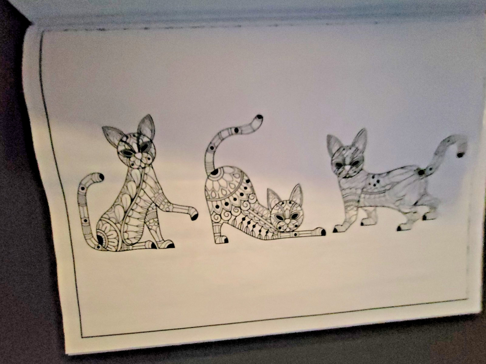 Cat Coloring -32 Spring-Inspired Designs-Relaxing & Inspirational Adult Coloring