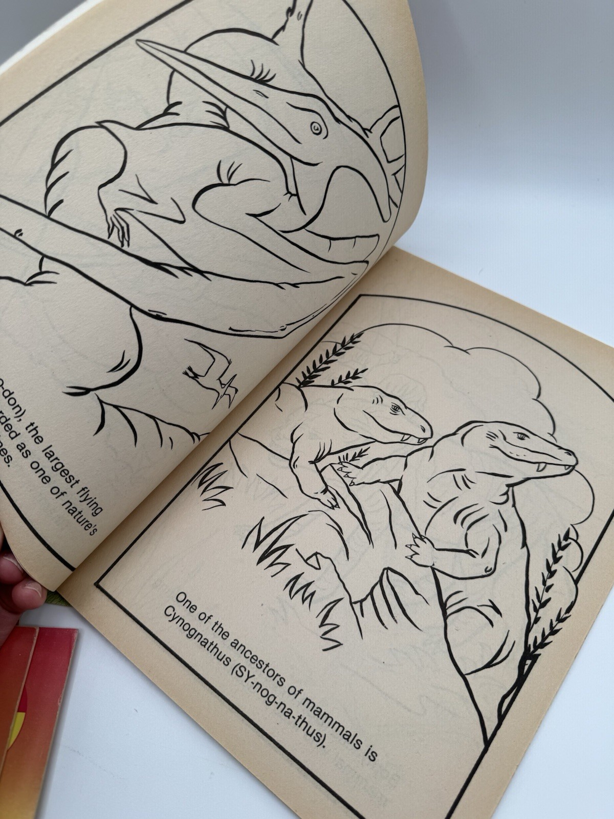 Vintage Lot of 5 DINOSAUR Coloring Books Most Unused But One Has Marks