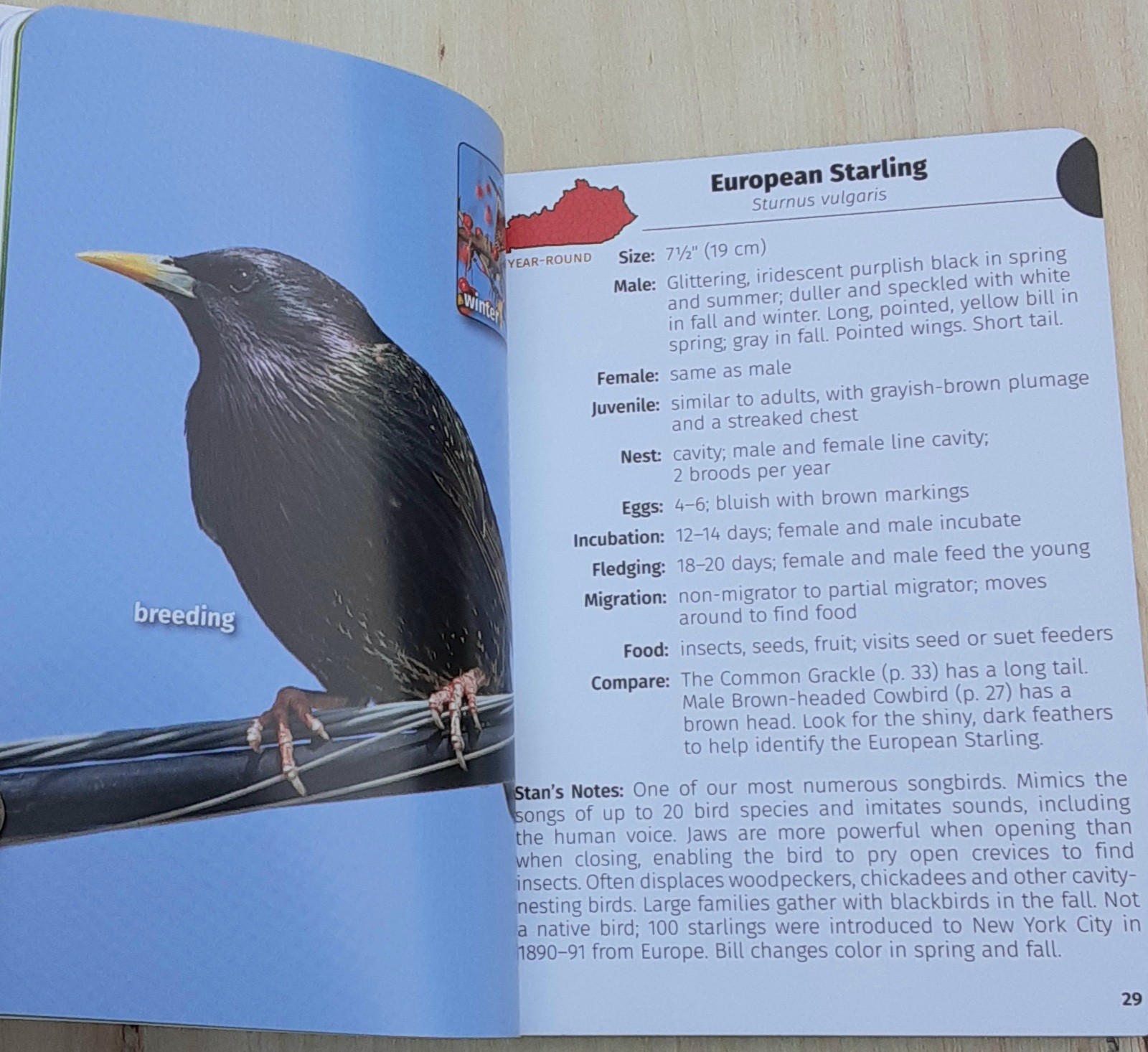 Birds of Kentucky Field Guide by Stan Tekiela 2022 Illustrated Paperback Book