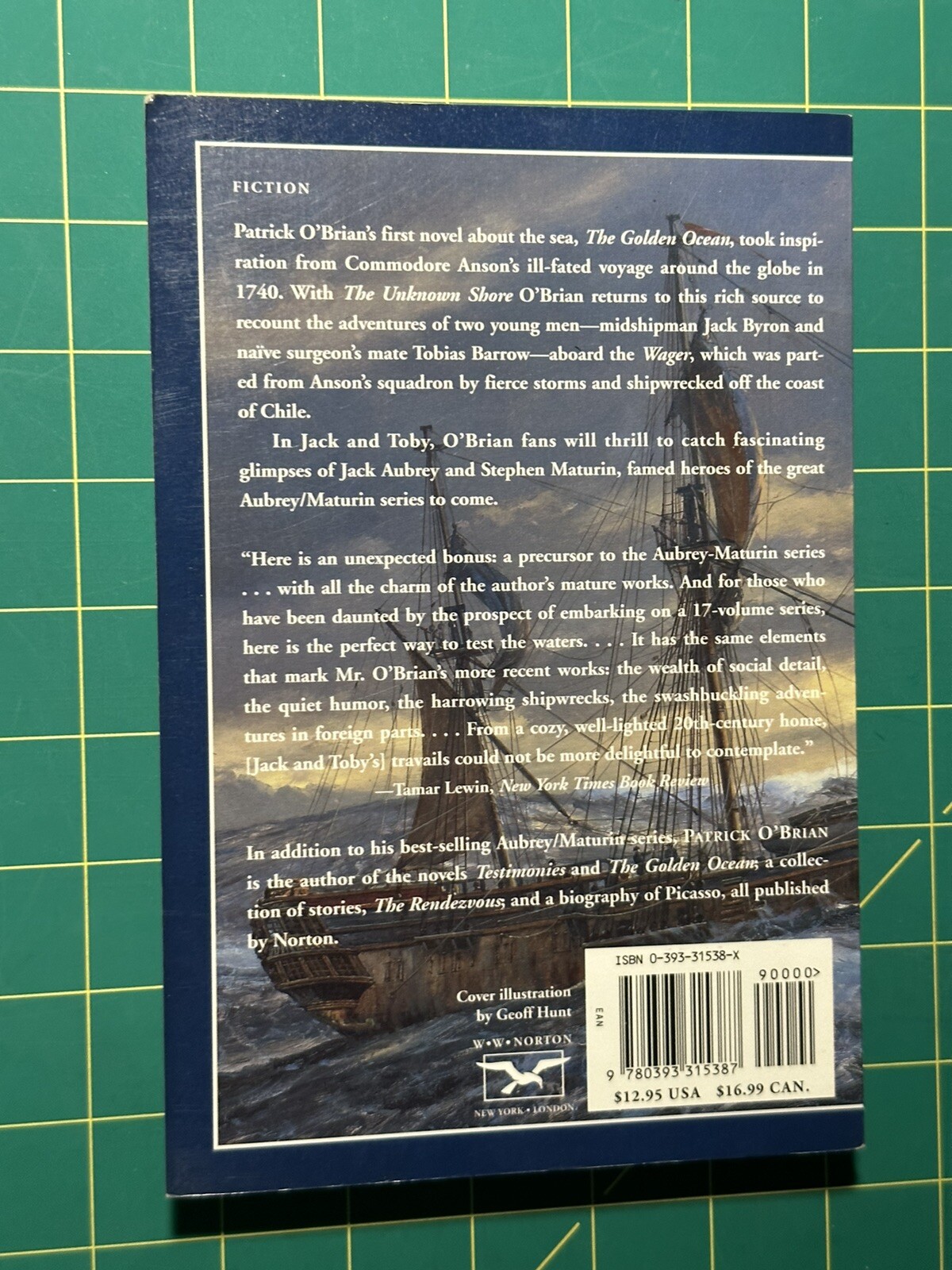 Unknown Shore by Patrick Obrian (1996, Trade Paperback)
