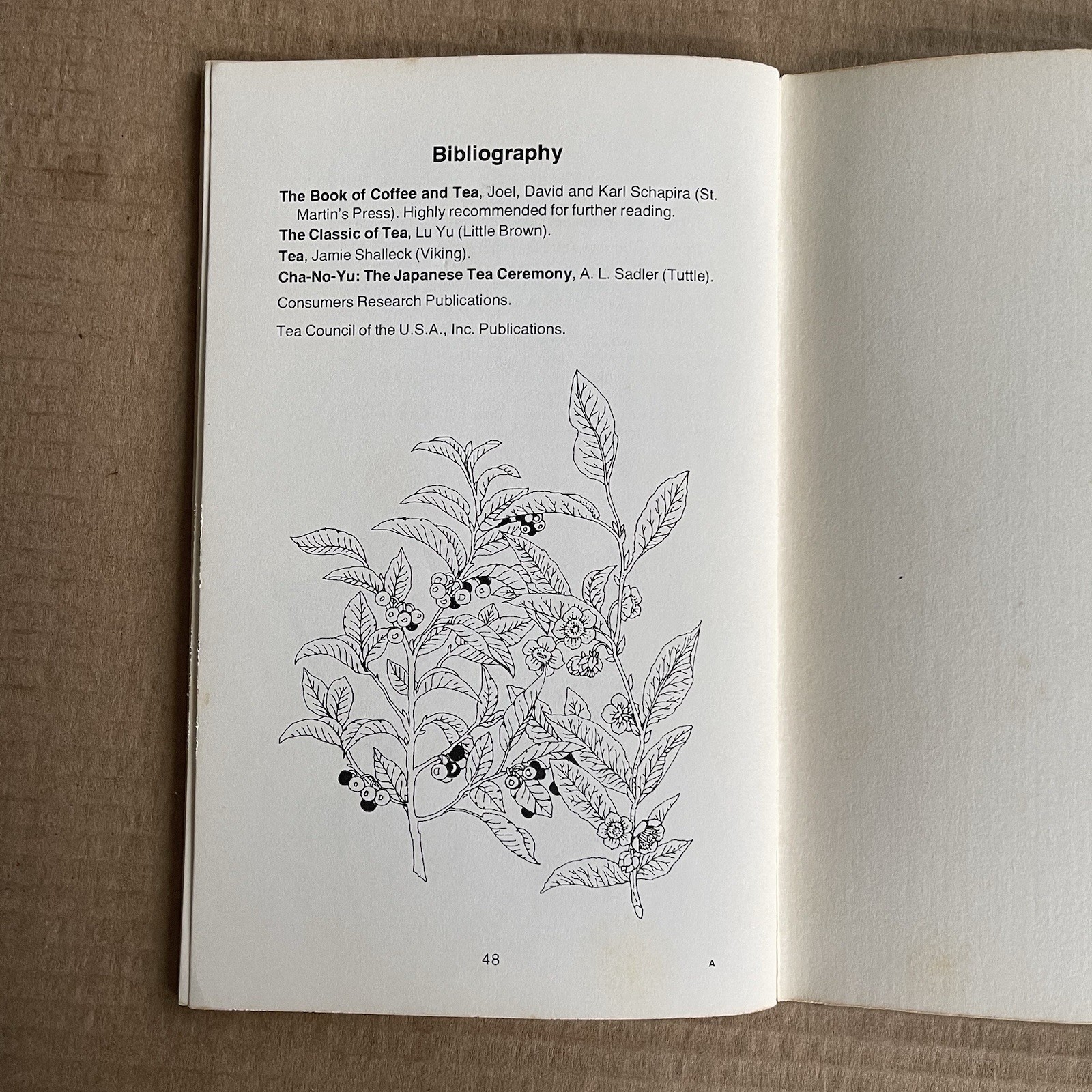 Tea by Irena Chalmers Vintage 1978 Potpourri Press History & Recipes Booklet