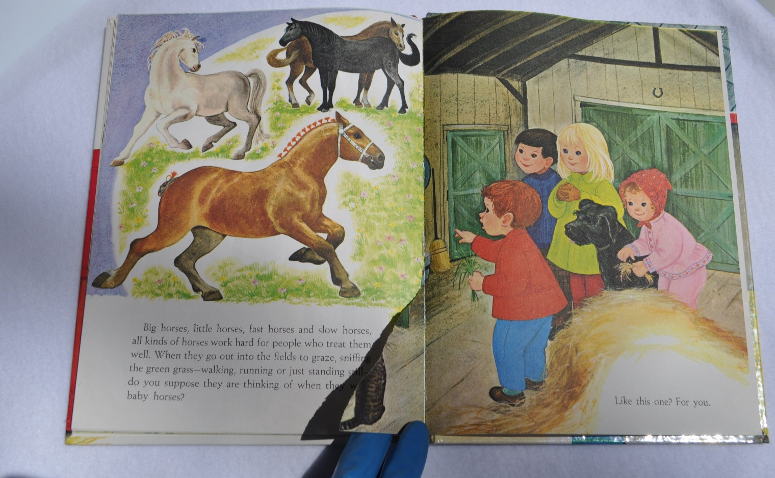 Horse Books For Kids: Horace, The Horse; Thunderhoof +vinyl record; Baby Horses