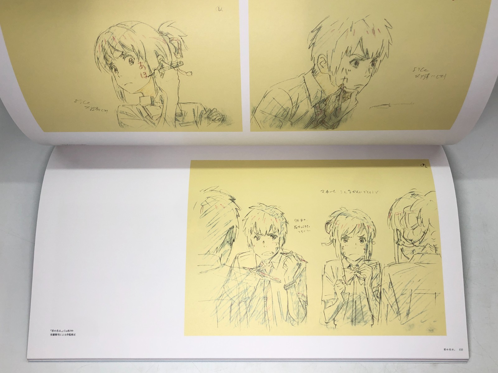 Exhibition of Shinkai Makoto – Artbook, Your name, Voices of a Distant Star,