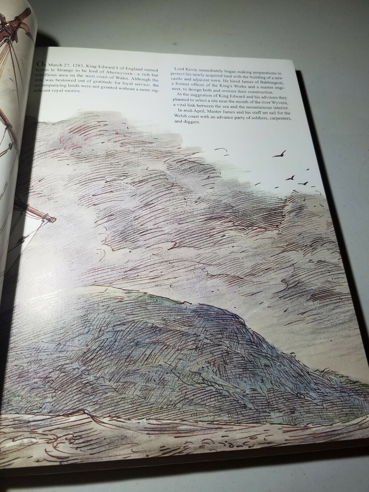 Built to Last by David Macaulay, Like NEW, Hardcover, 2010