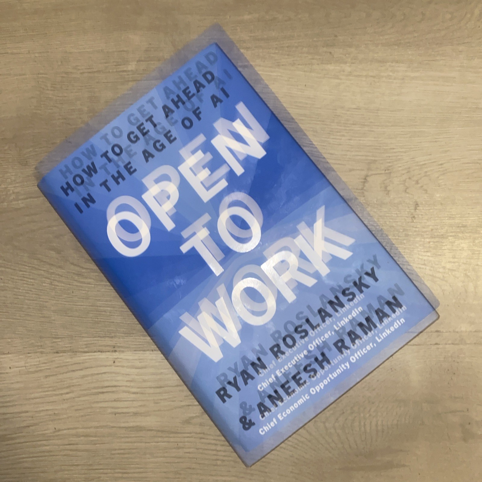 Open to Work How to Get Ahead in the Age of AI HC Book Ryan Roslansky