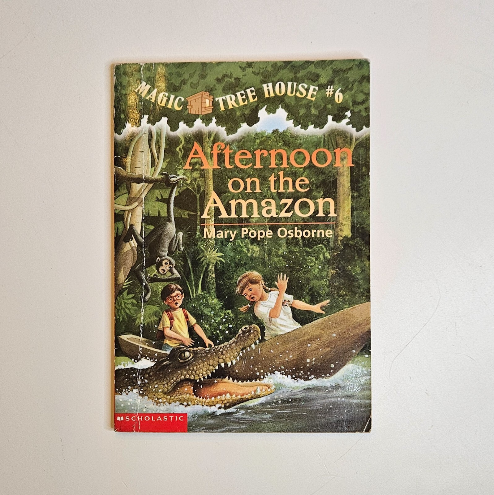 Lot 9 Magic Tree House Books #1 #6 #12 #13 #34 Research Guide Merlin Missions