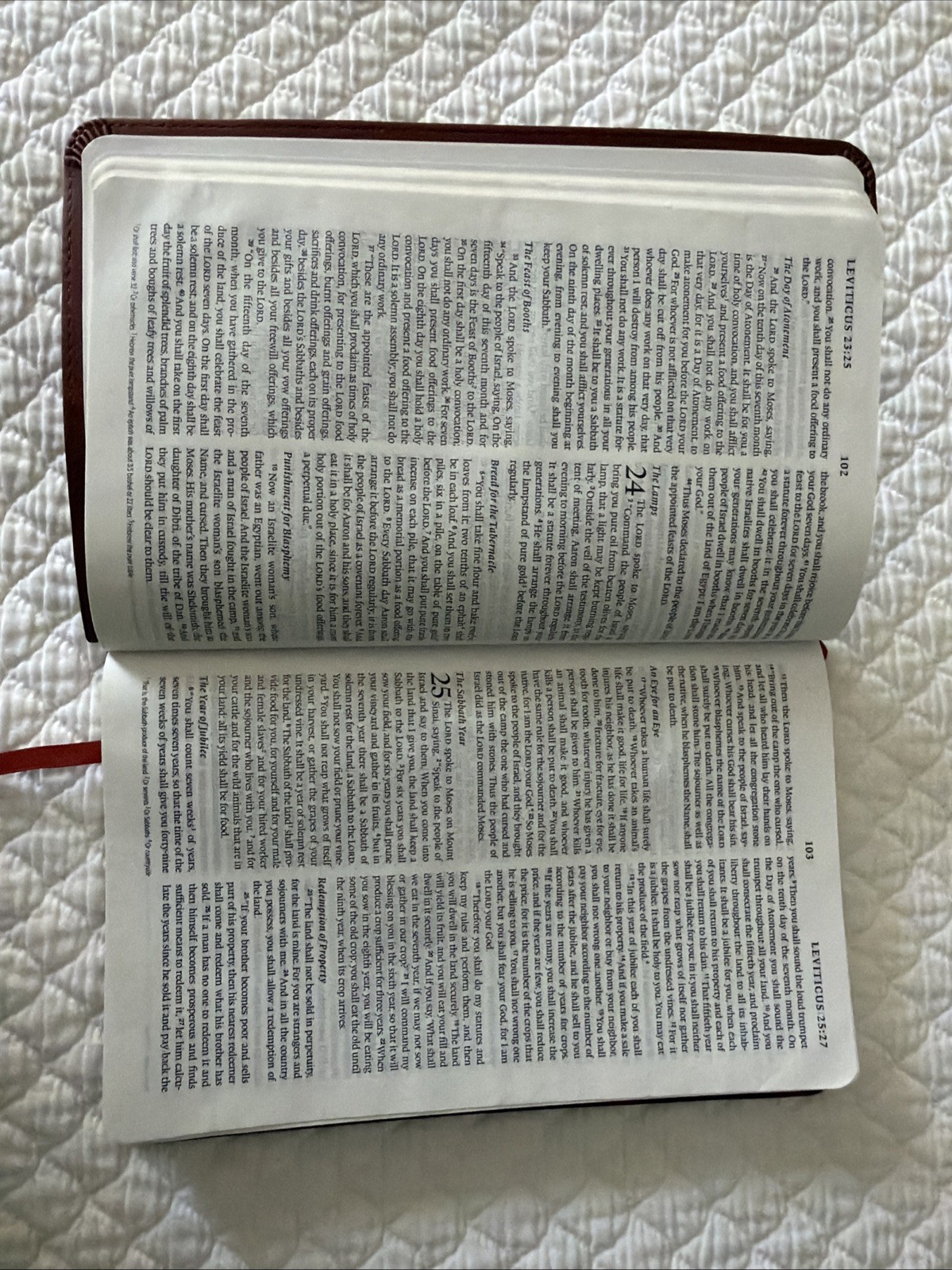 ESV Thinline Bible TruTone Nutmeg Filigree Design Red Letter Text 9781581347210