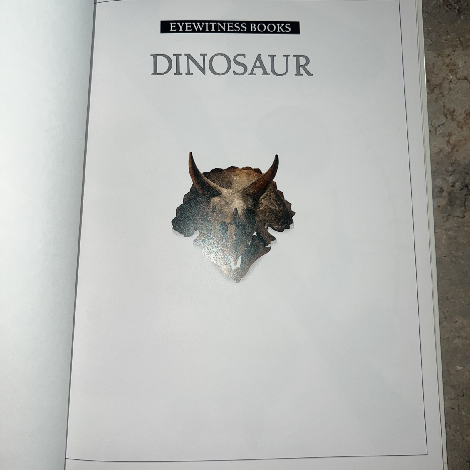 Vintage 1989 Dinosaur Museum Education Learning Book Hardcover