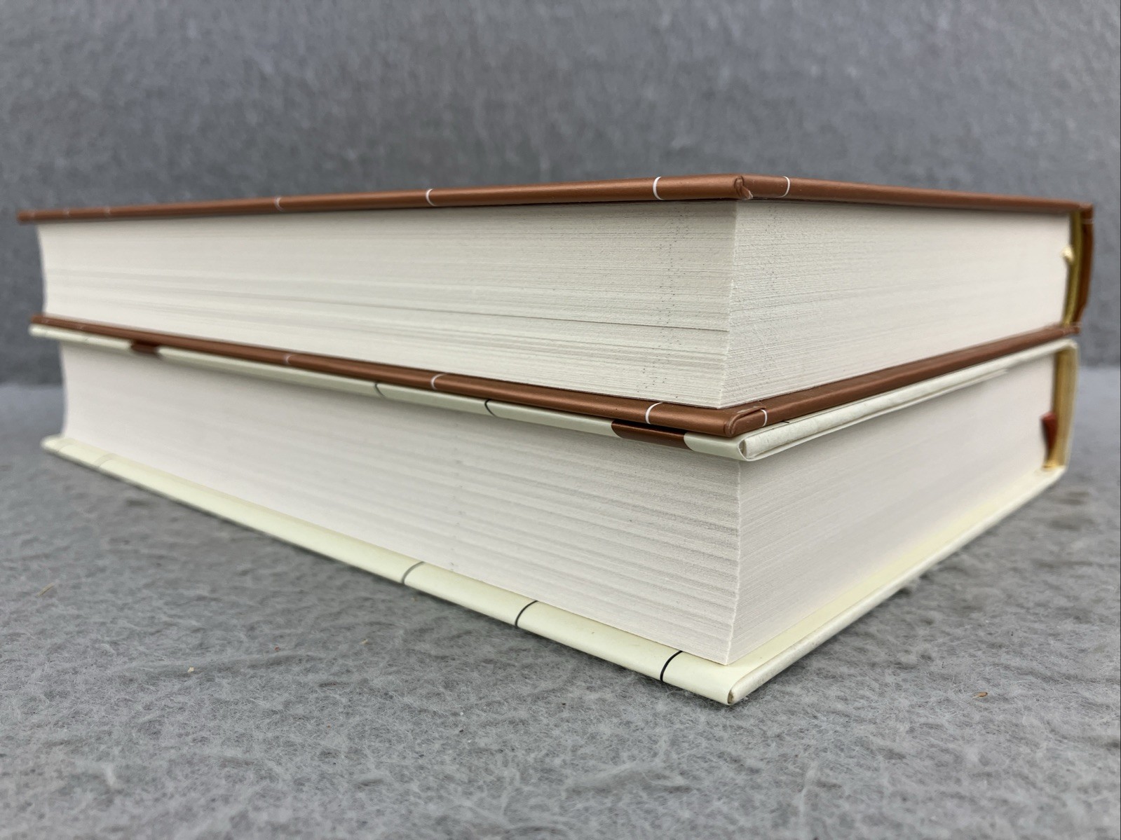 The DAILY STOIC Boxed Book Set by Ryan Holiday and Stephen Hanselman 2 Volumes