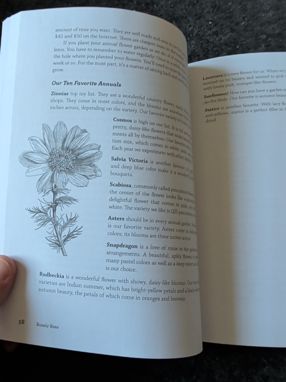 Rosaly Bass: Organic! Gardener’s Handbook, SIGNED first edition, Signed (K)