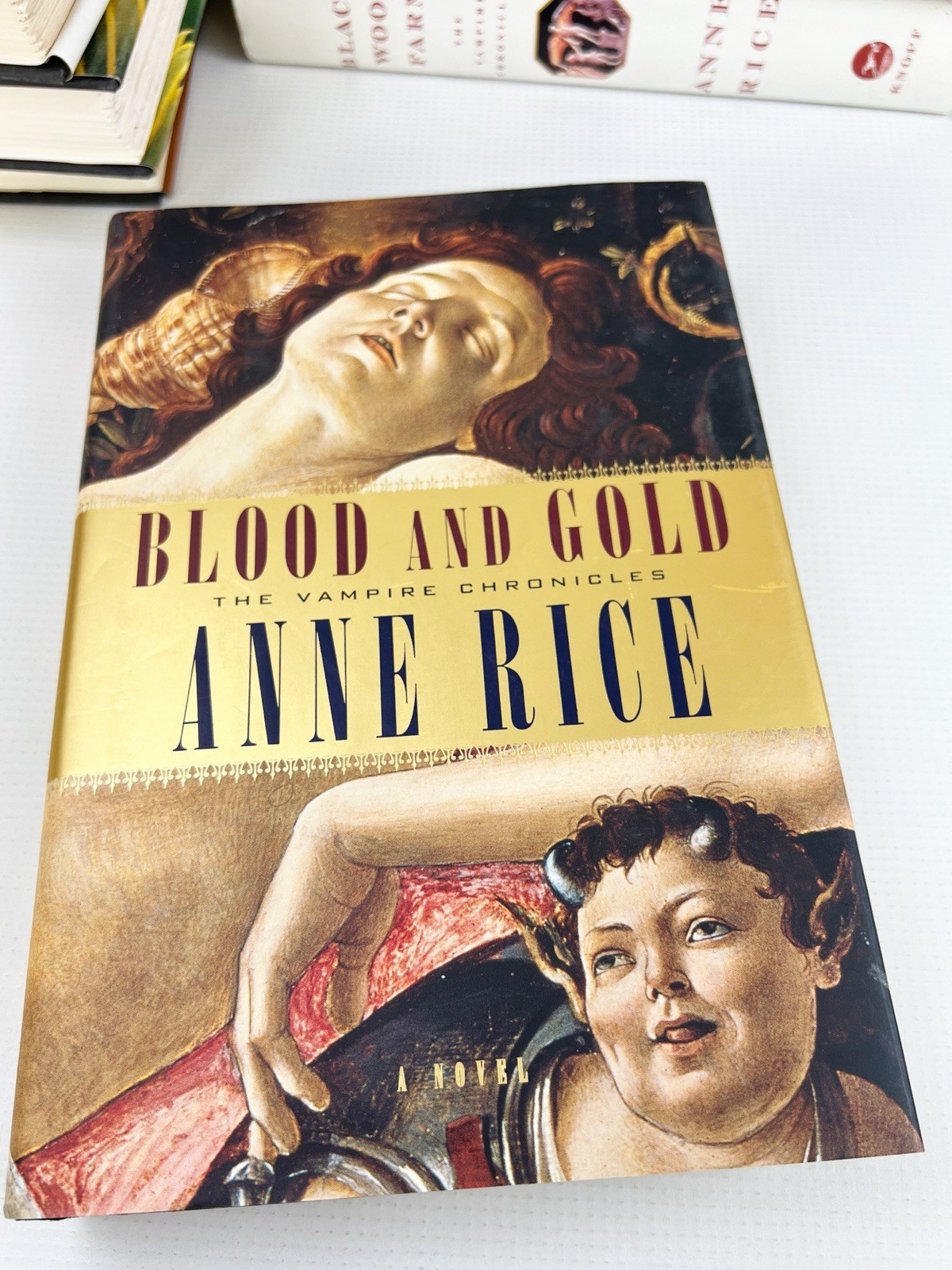 Anne Rice Hardcover Book Lot Vampire Others Most First Editions Collection Of 8