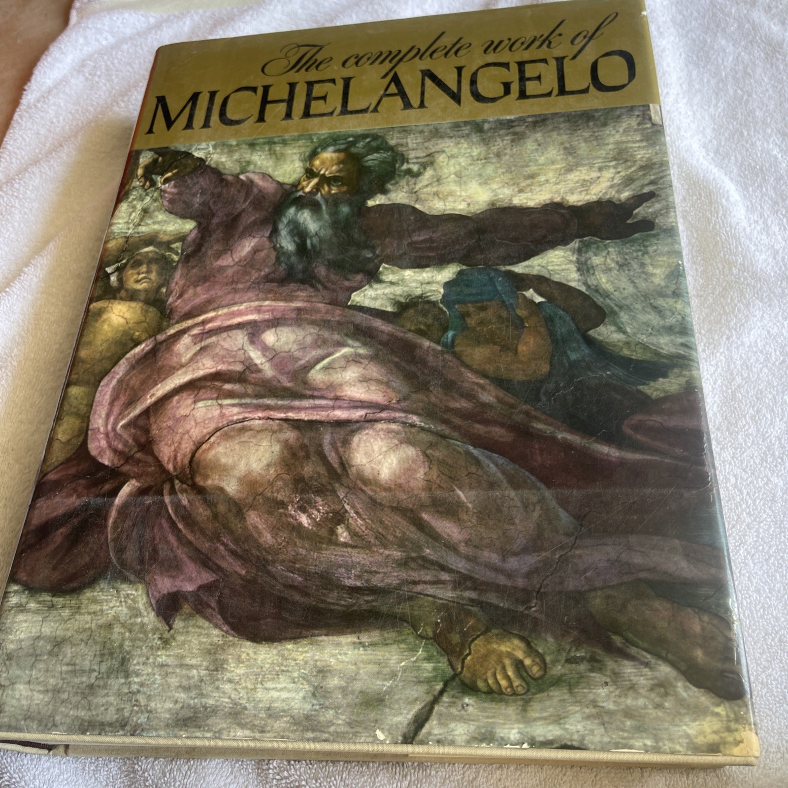 The Complete Work Of Michelangelo Reynal Publ. HC Slipcase-A++ Japan
