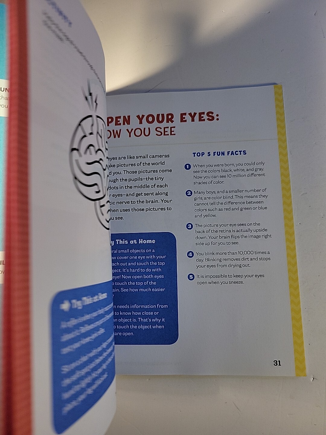 Human Body Activity Book for Kids : Hands-On Fun for Grades K-3 by Katie Stokes