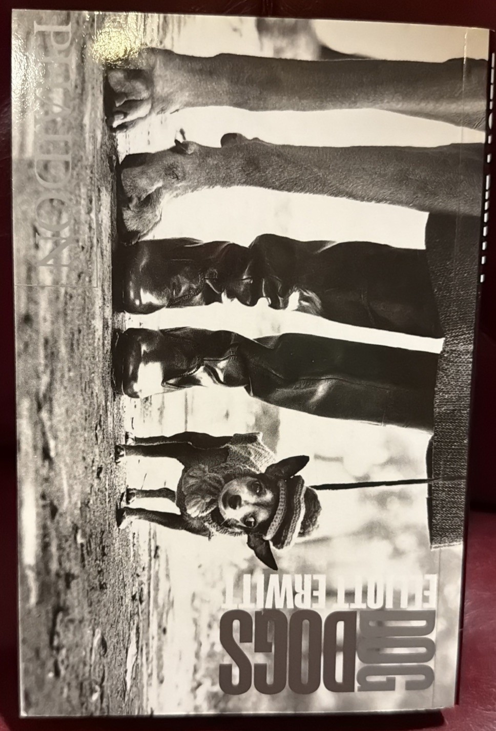 DOGDOGS ~ Elliott Erwitt PHAIDON Photography Book 7.25 x 4.75 x 1.25 LIKE NEW