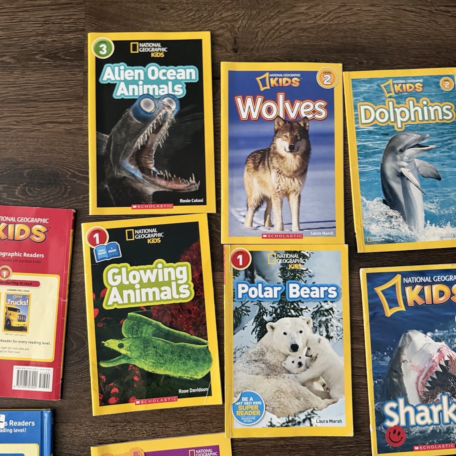 National Geographic Kids Reader Lot 17 Sharks Wolves Dolphins Polar Bears