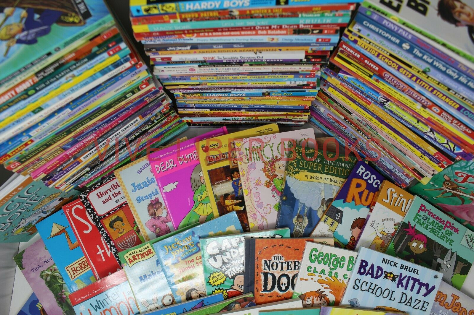 Bulk/Huge Lot of 300 of Children’s Kids Chapter Books – Random – Free Shipping!