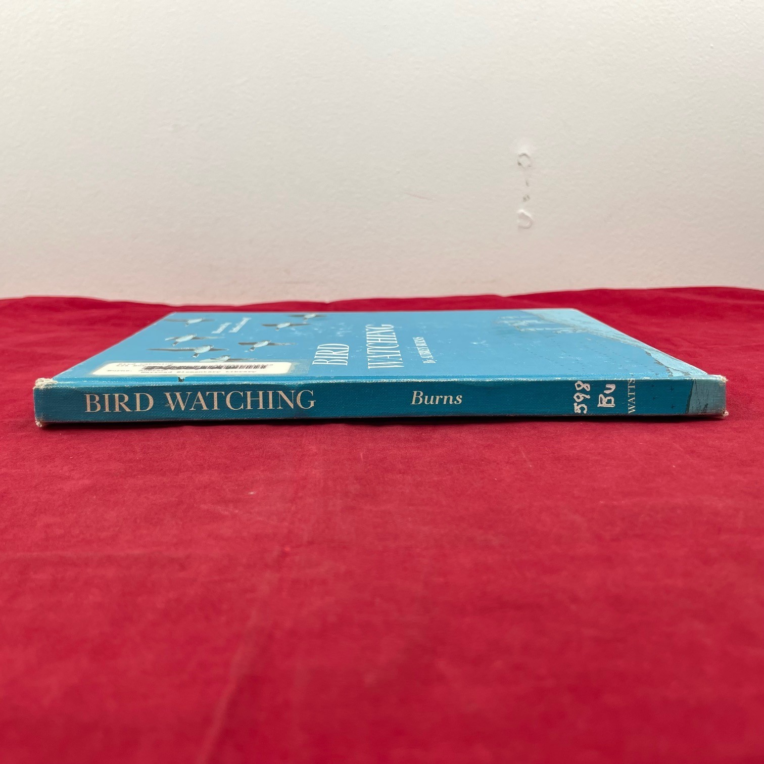 Vintage 1968 Bird Watching Aubrey Burns Hardcover Book – Discard